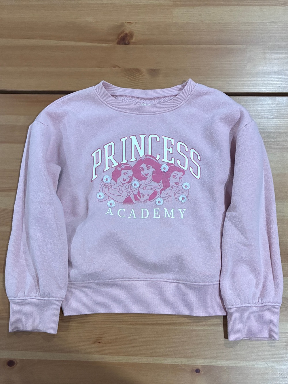 Disney Pink Princess Academy Crewneck Sweatshirt